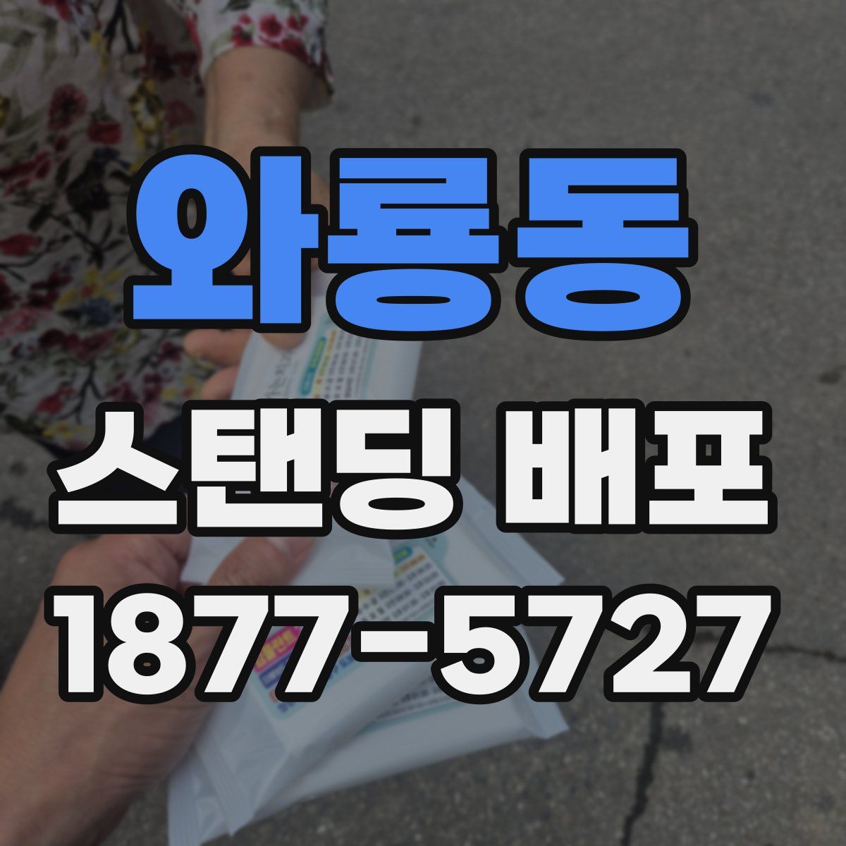 와룡동 스탠딩 배포