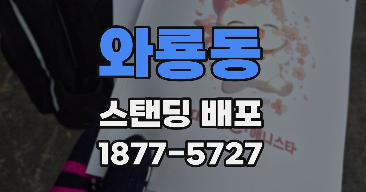와룡동 스탠딩 배포