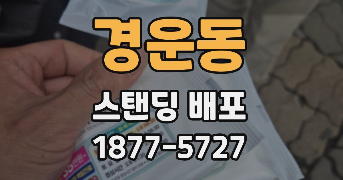 경운동 스탠딩 배포