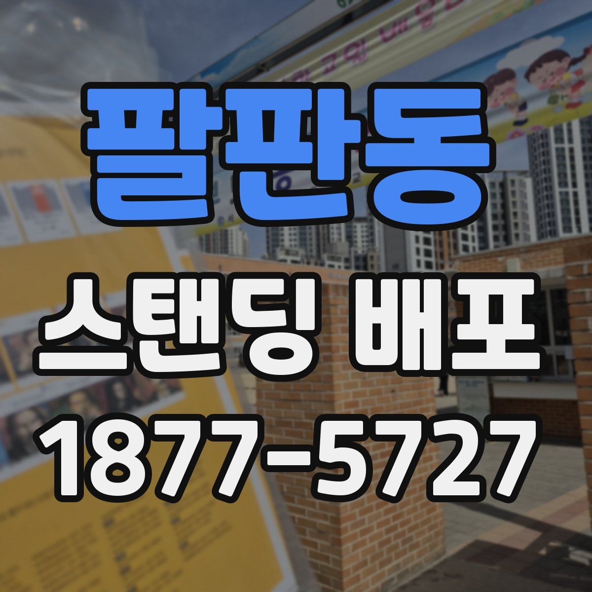 팔판동 스탠딩 배포
