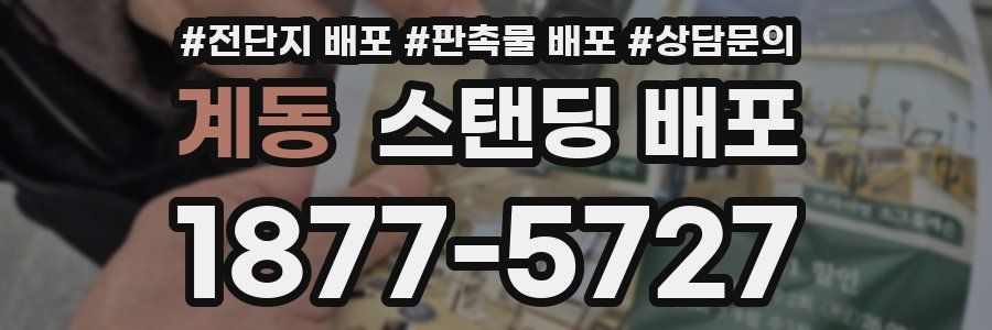 계동 스탠딩 배포