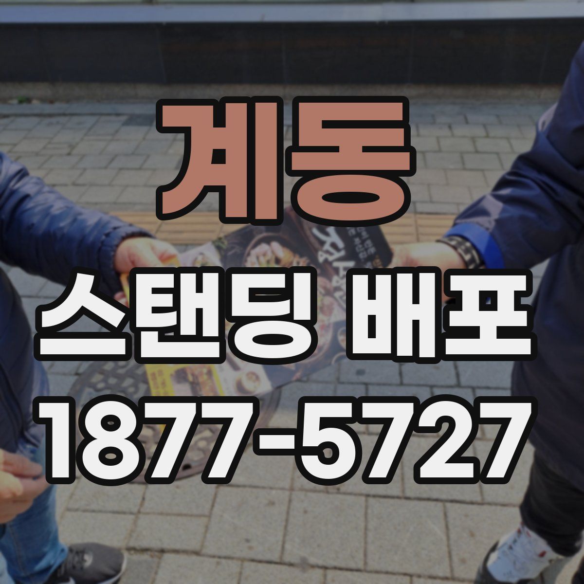 계동 스탠딩 배포