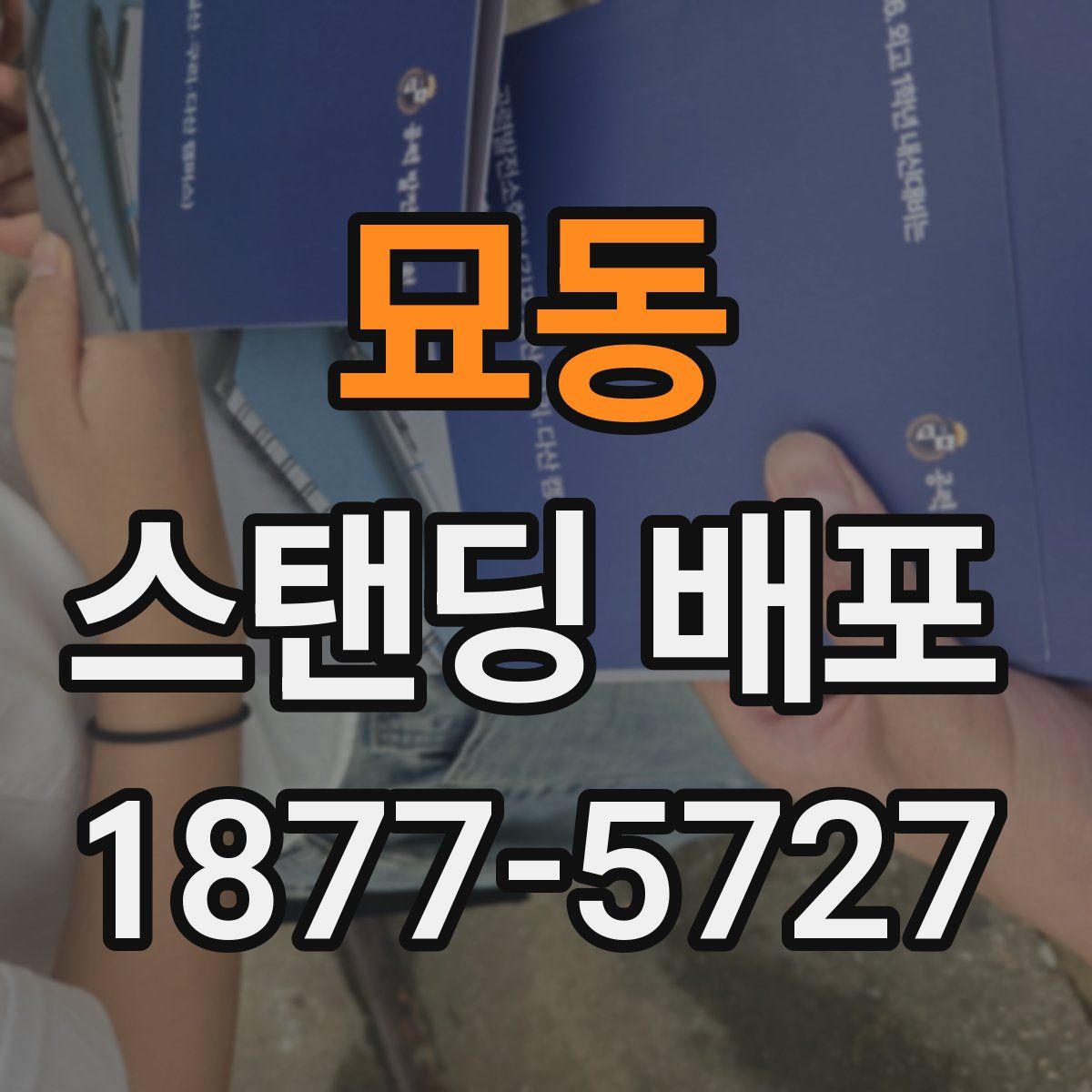 묘동 스탠딩 배포