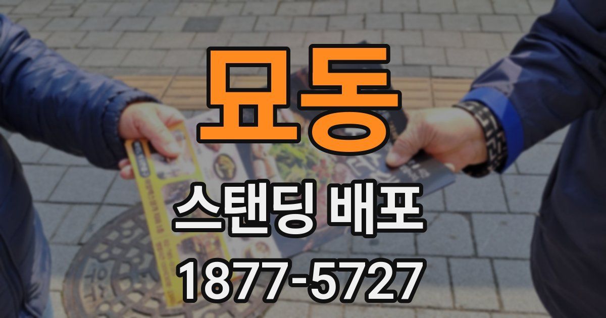 묘동 스탠딩 배포