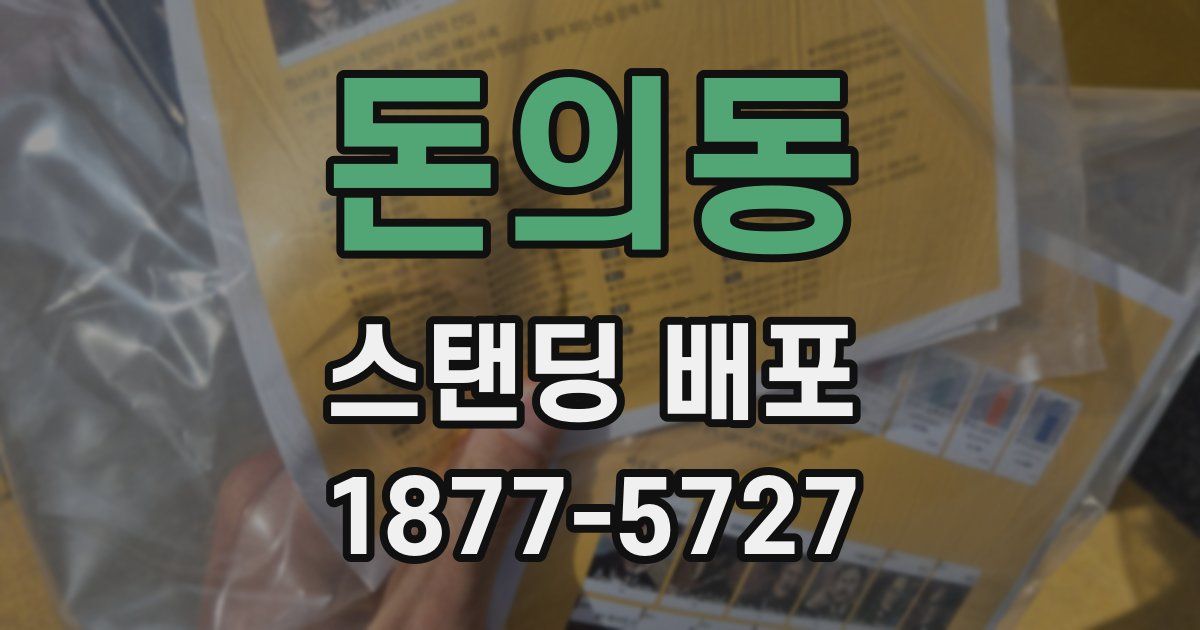 돈의동 스탠딩 배포