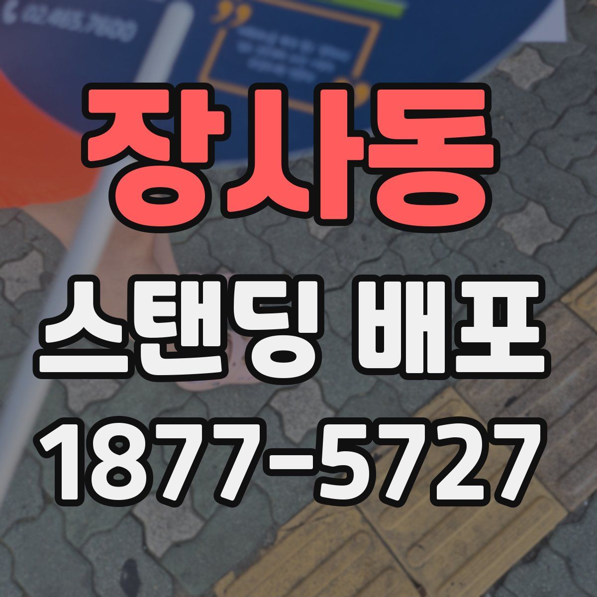 장사동 스탠딩 배포