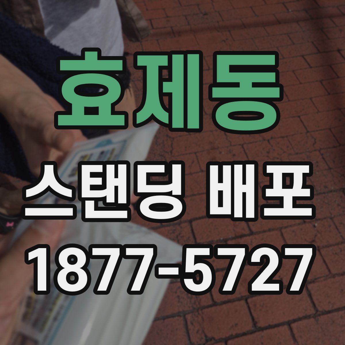 효제동 스탠딩 배포