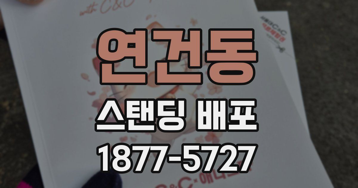 연건동 스탠딩 배포