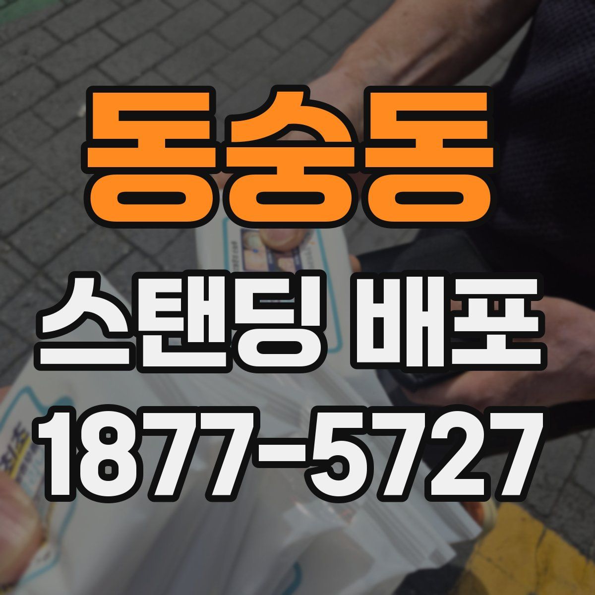 동숭동 스탠딩 배포