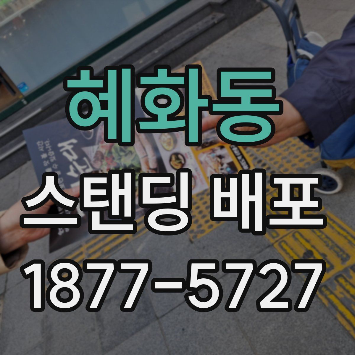 혜화동 스탠딩 배포
