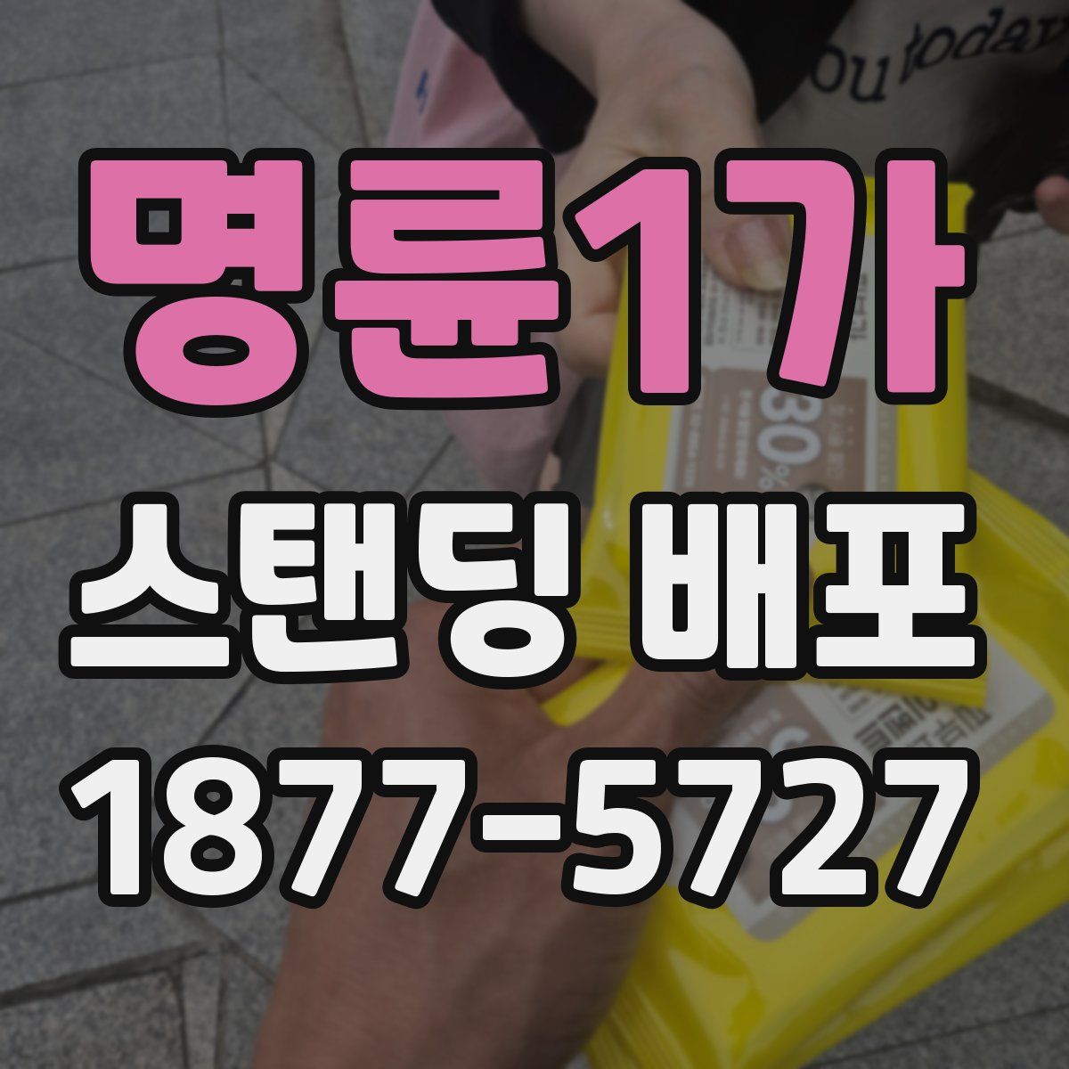 명륜1가 스탠딩 배포