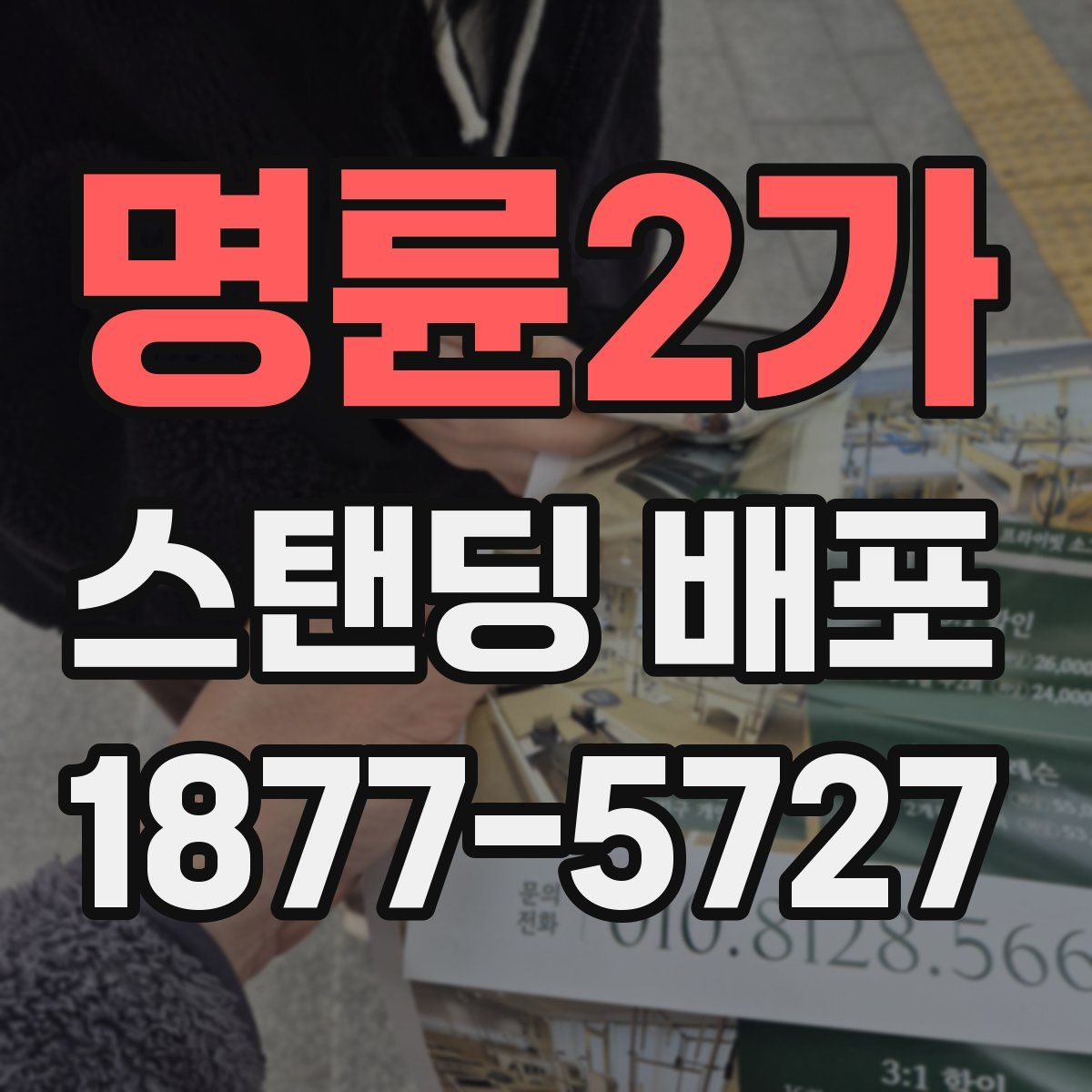 명륜2가 스탠딩 배포