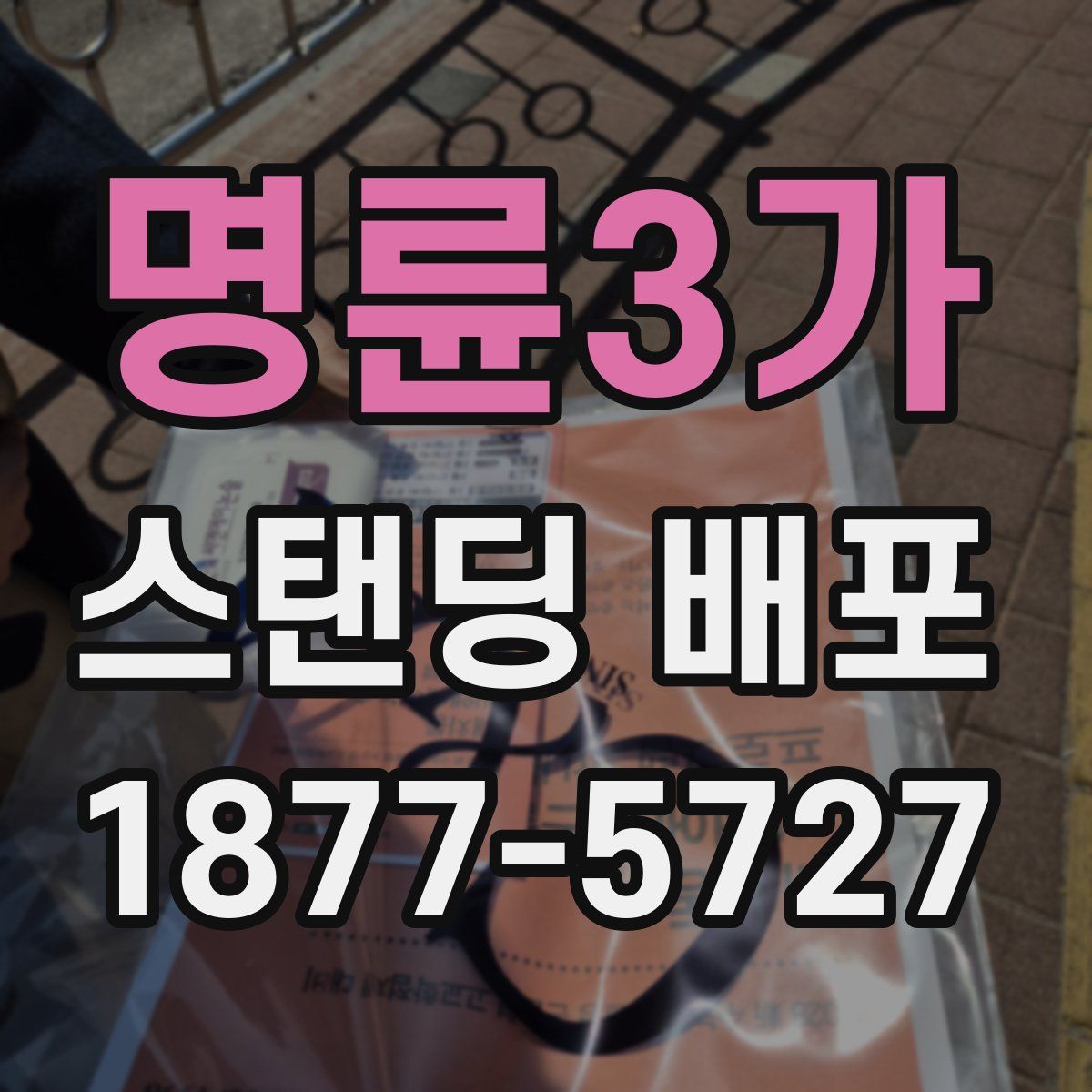 명륜3가 스탠딩 배포