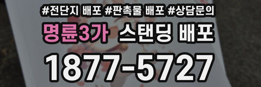 명륜3가 스탠딩 배포