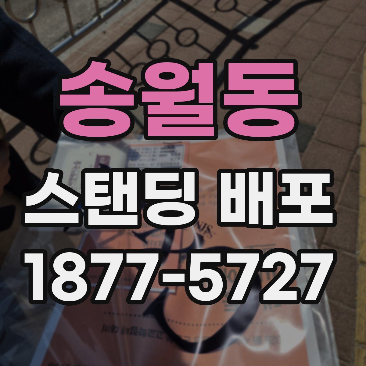 송월동 스탠딩 배포