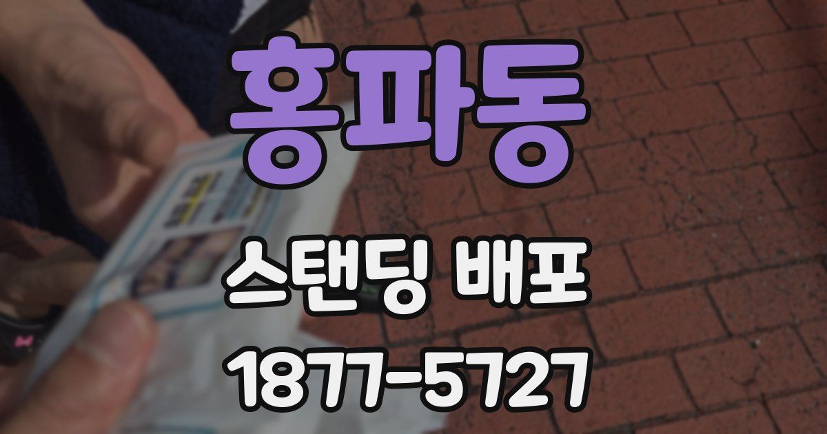 홍파동 스탠딩 배포