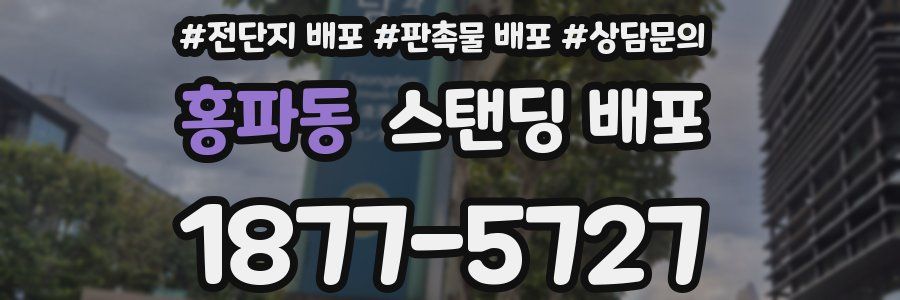 홍파동 스탠딩 배포