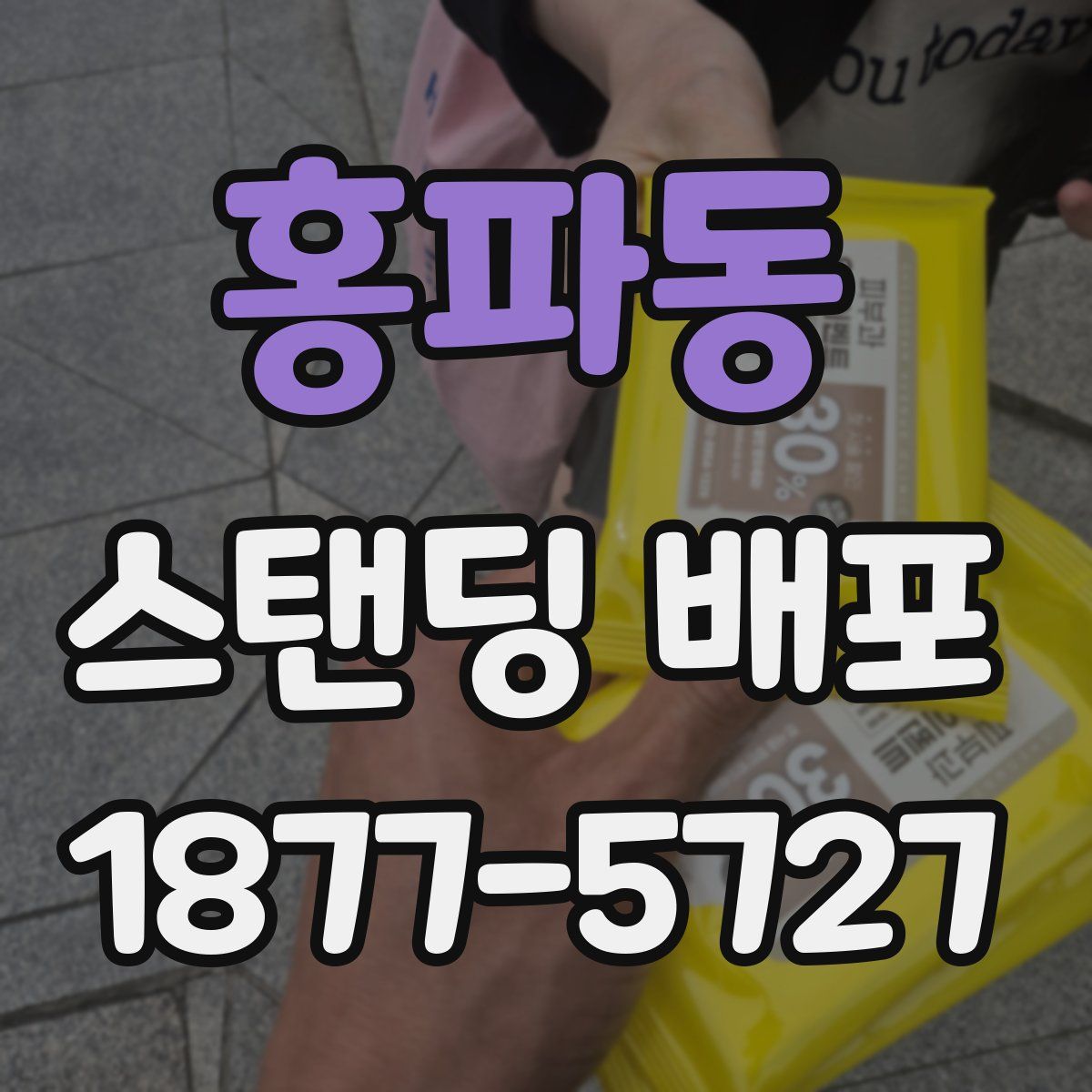 홍파동 스탠딩 배포