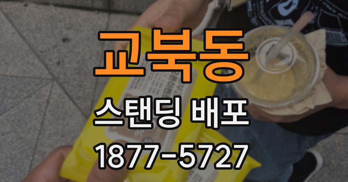 교북동 스탠딩 배포