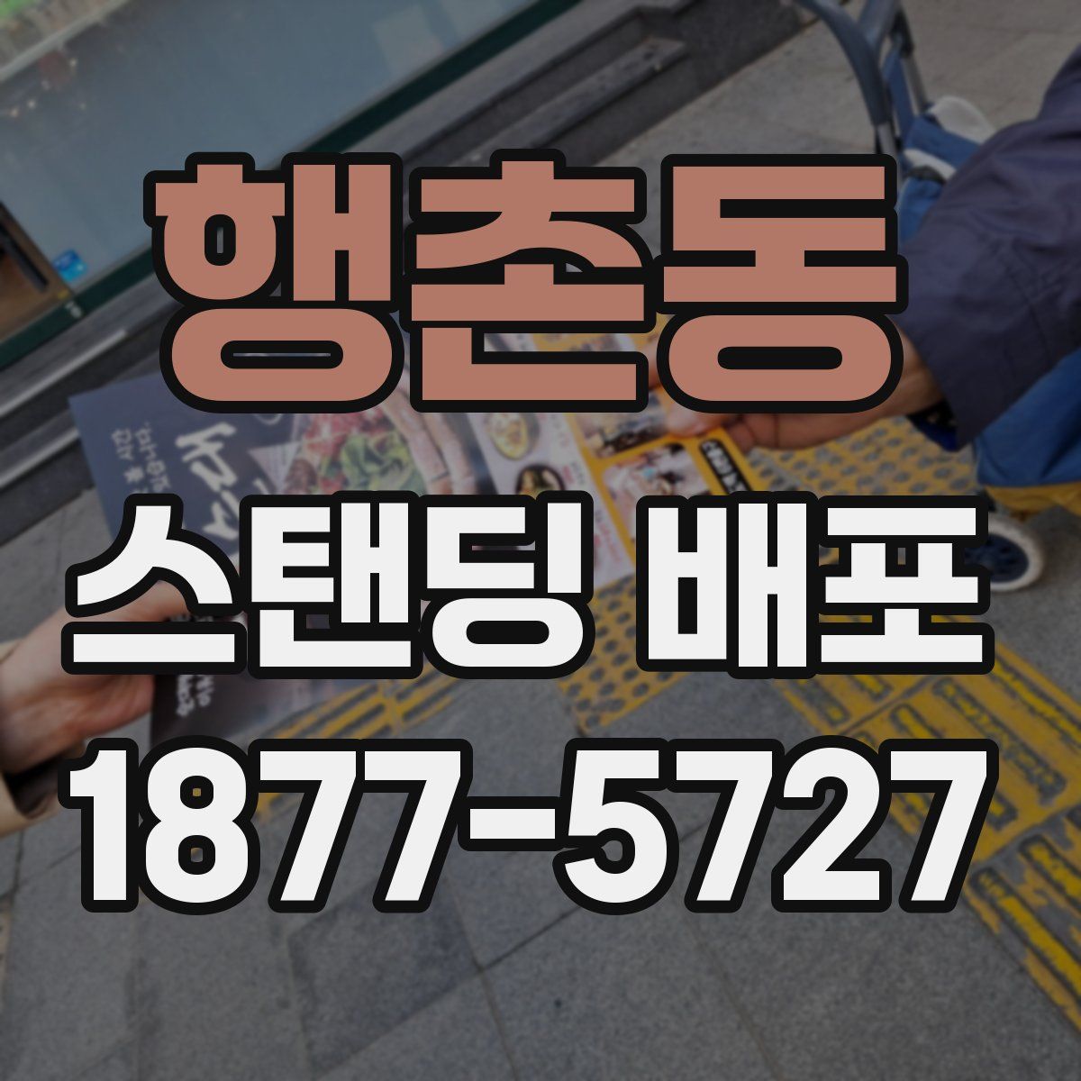 행촌동 스탠딩 배포