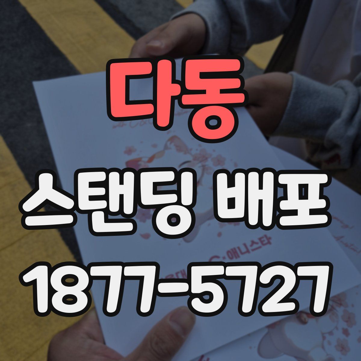 다동 스탠딩 배포