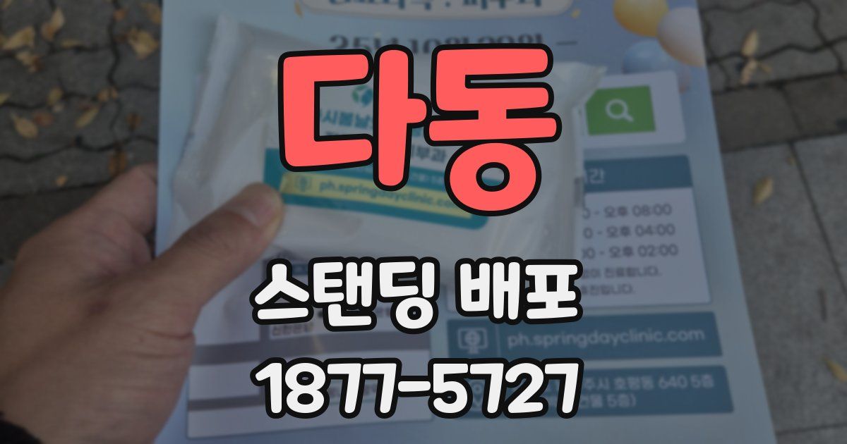 다동 스탠딩 배포