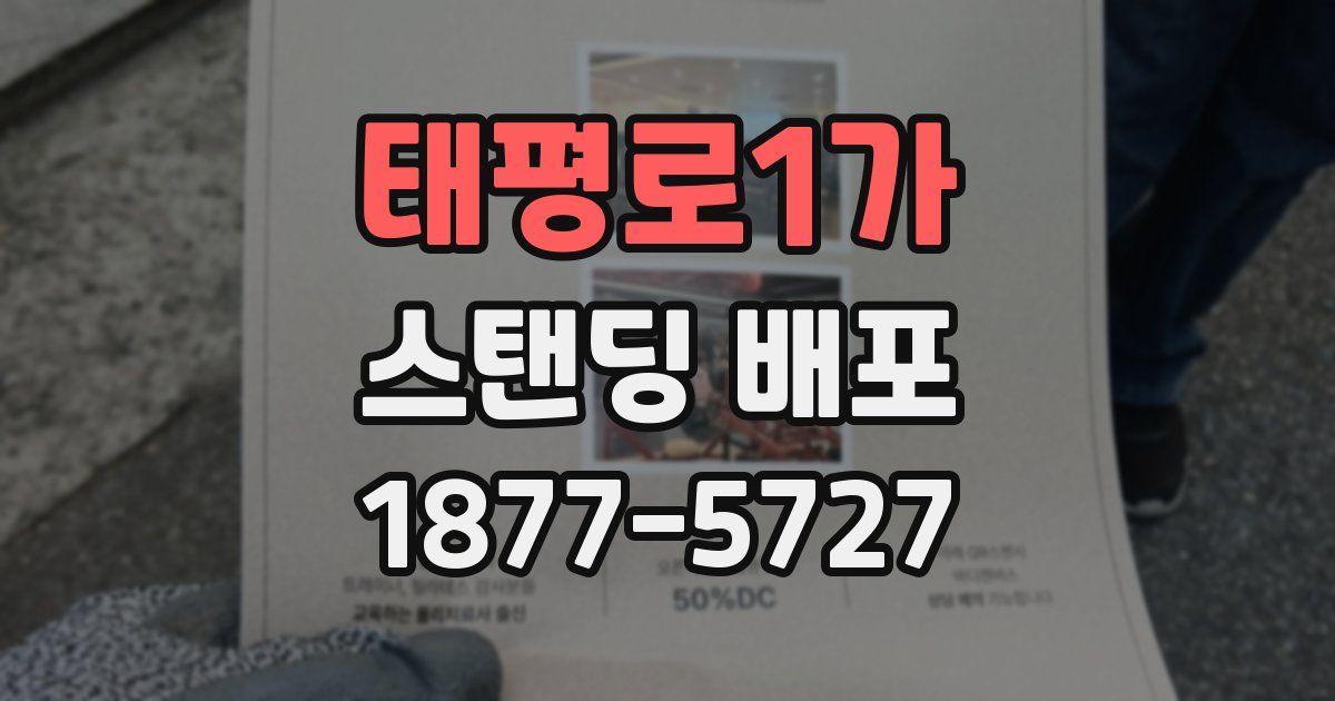 태평로1가 스탠딩 배포