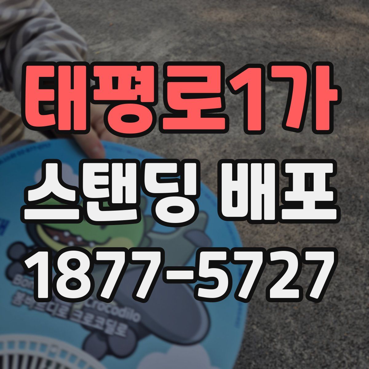 태평로1가 스탠딩 배포