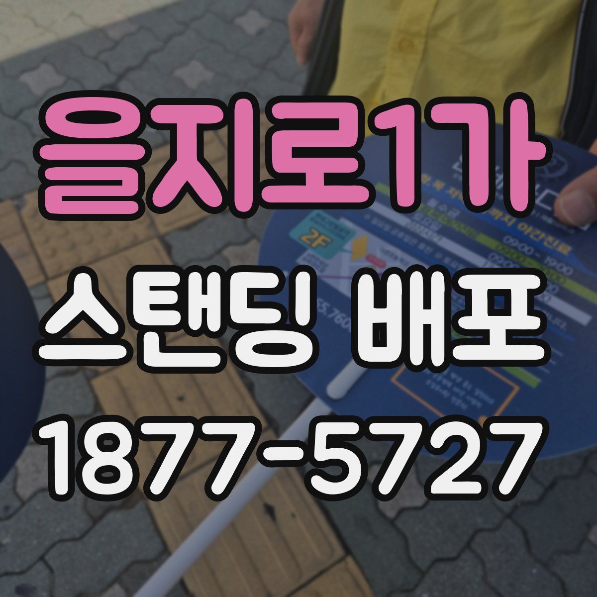 을지로1가 스탠딩 배포