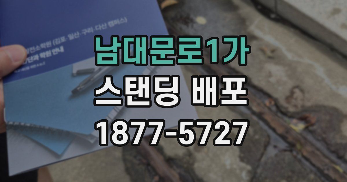 남대문로1가 스탠딩 배포