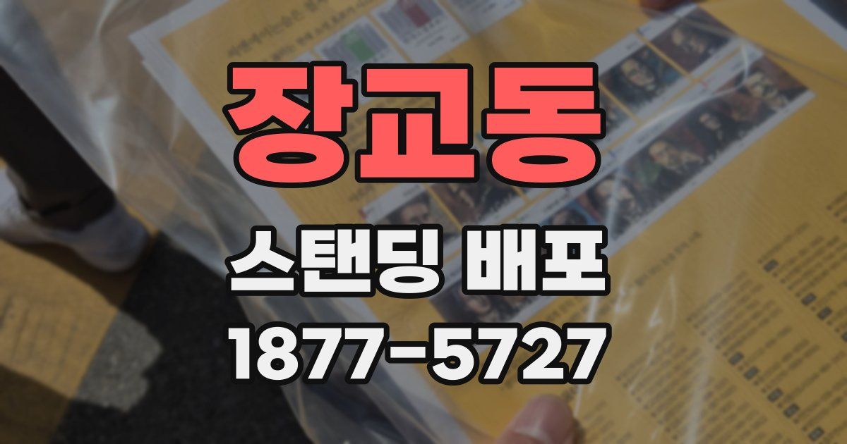 장교동 스탠딩 배포