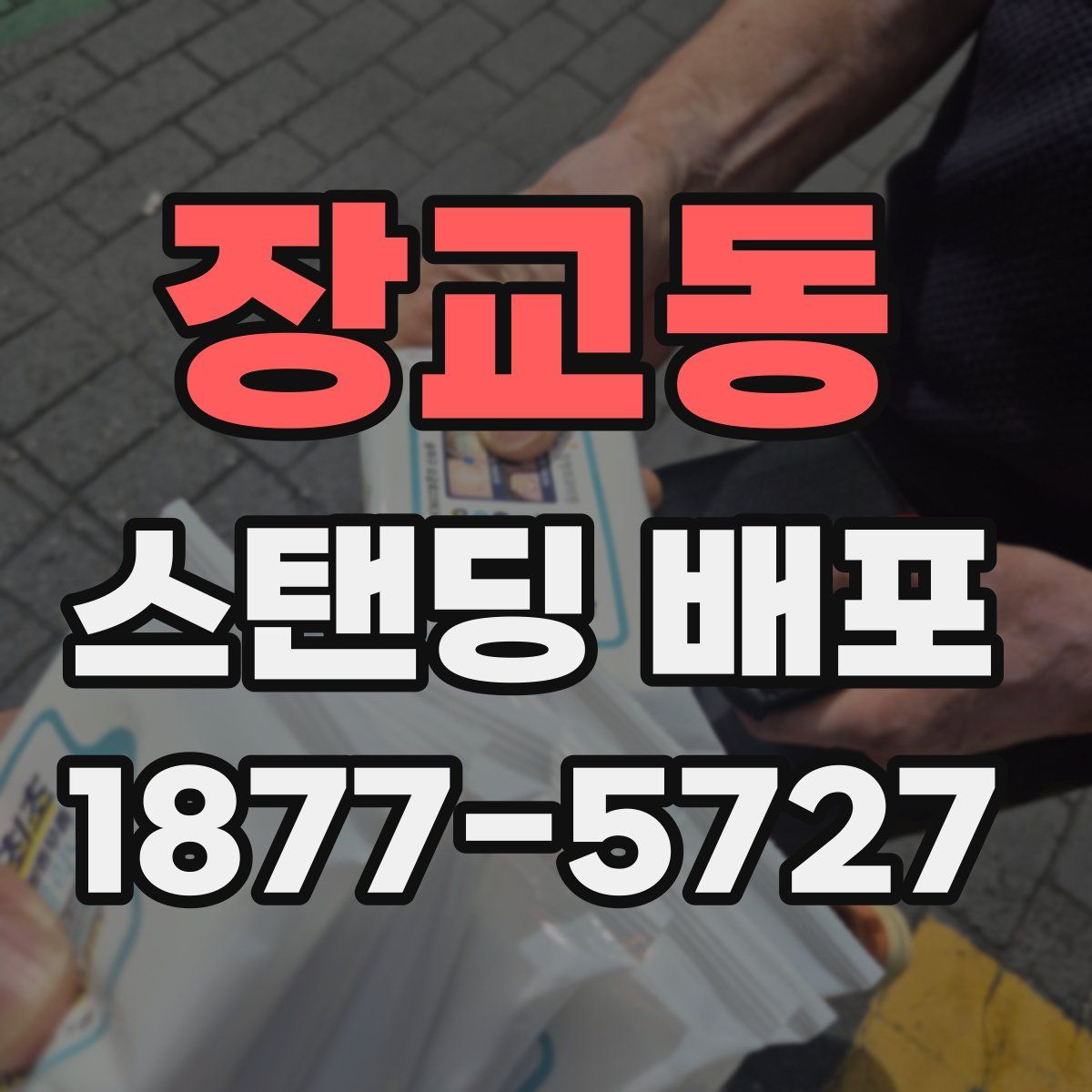 장교동 스탠딩 배포