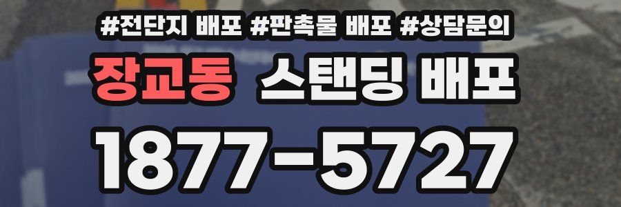 장교동 스탠딩 배포