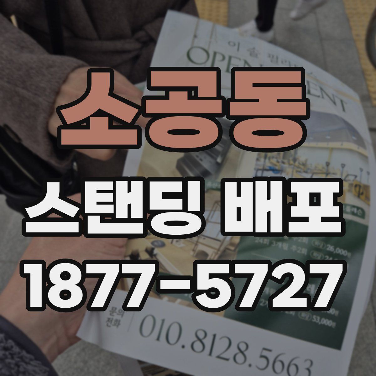 소공동 스탠딩 배포