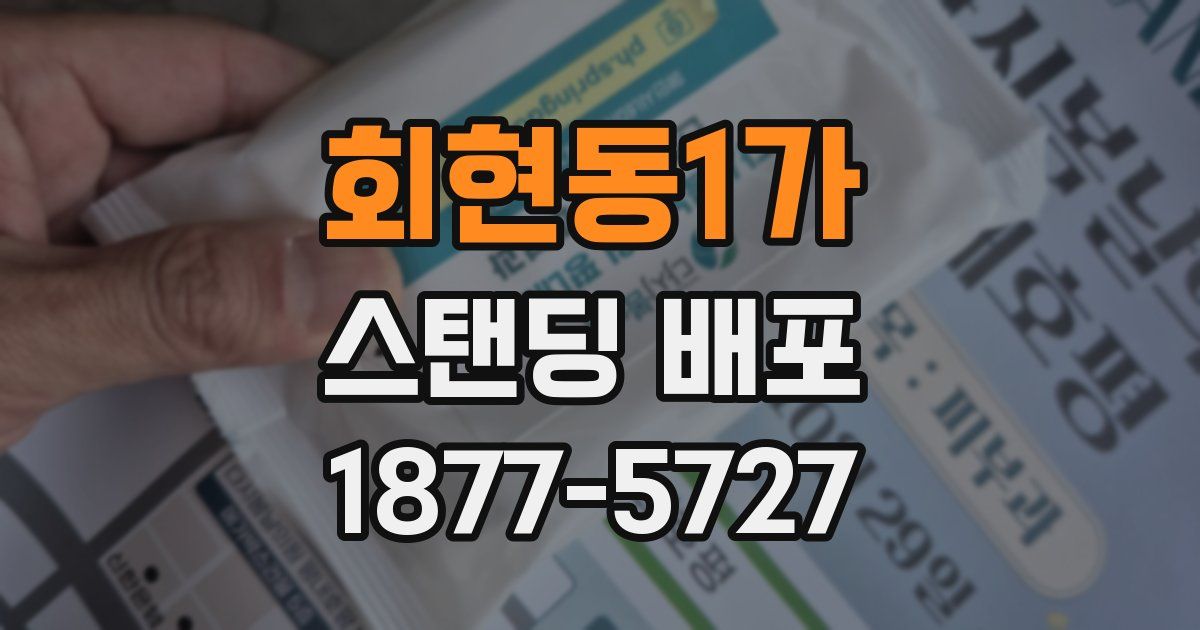 회현동1가 스탠딩 배포