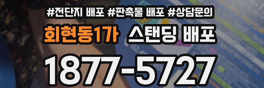 회현동1가 스탠딩 배포