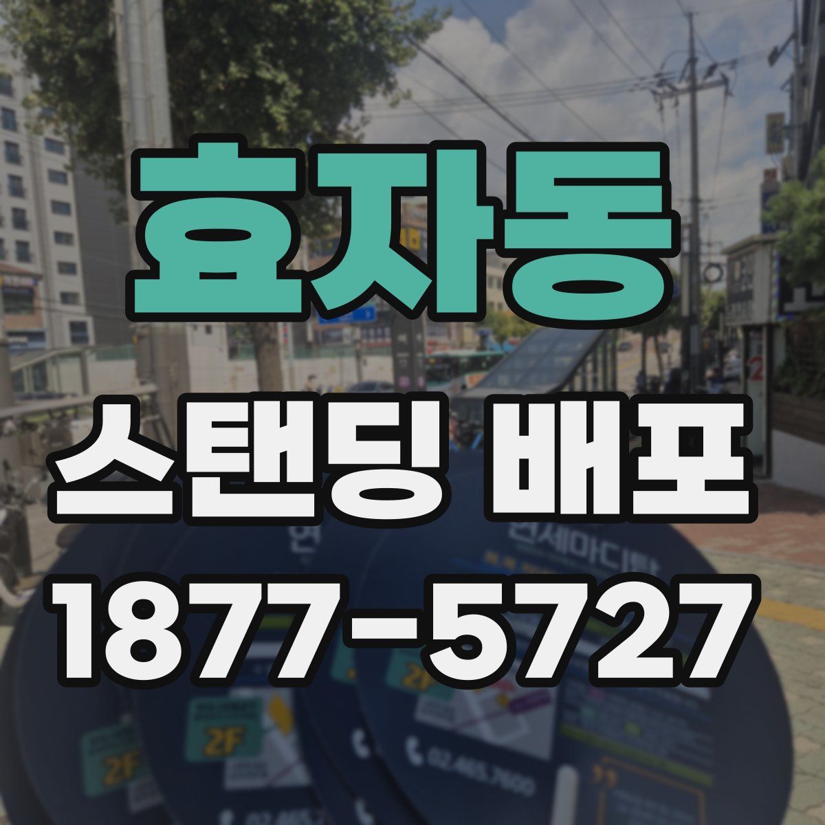 효자동 스탠딩 배포