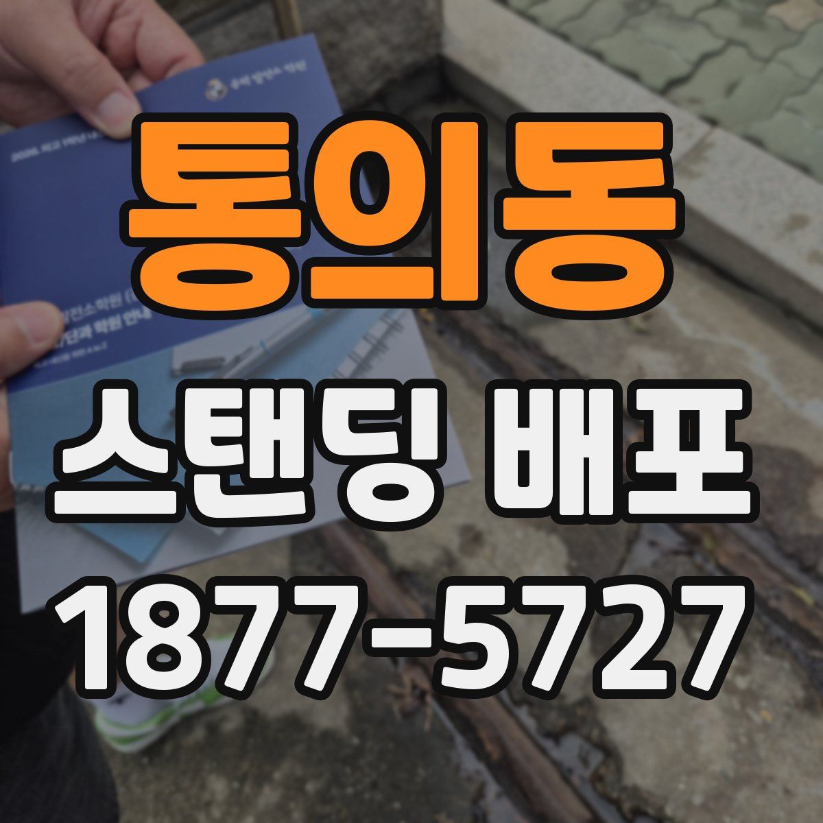 통의동 스탠딩 배포