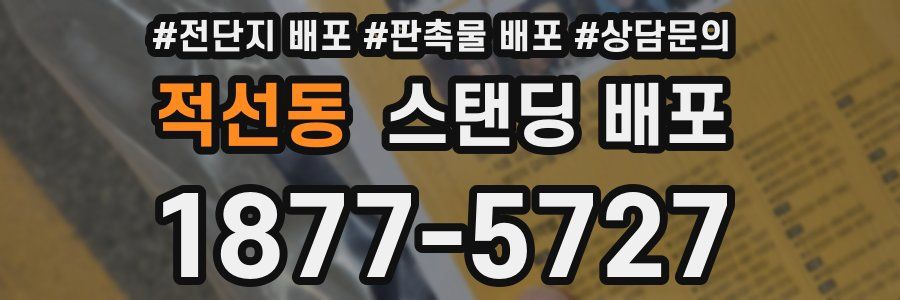 적선동 스탠딩 배포