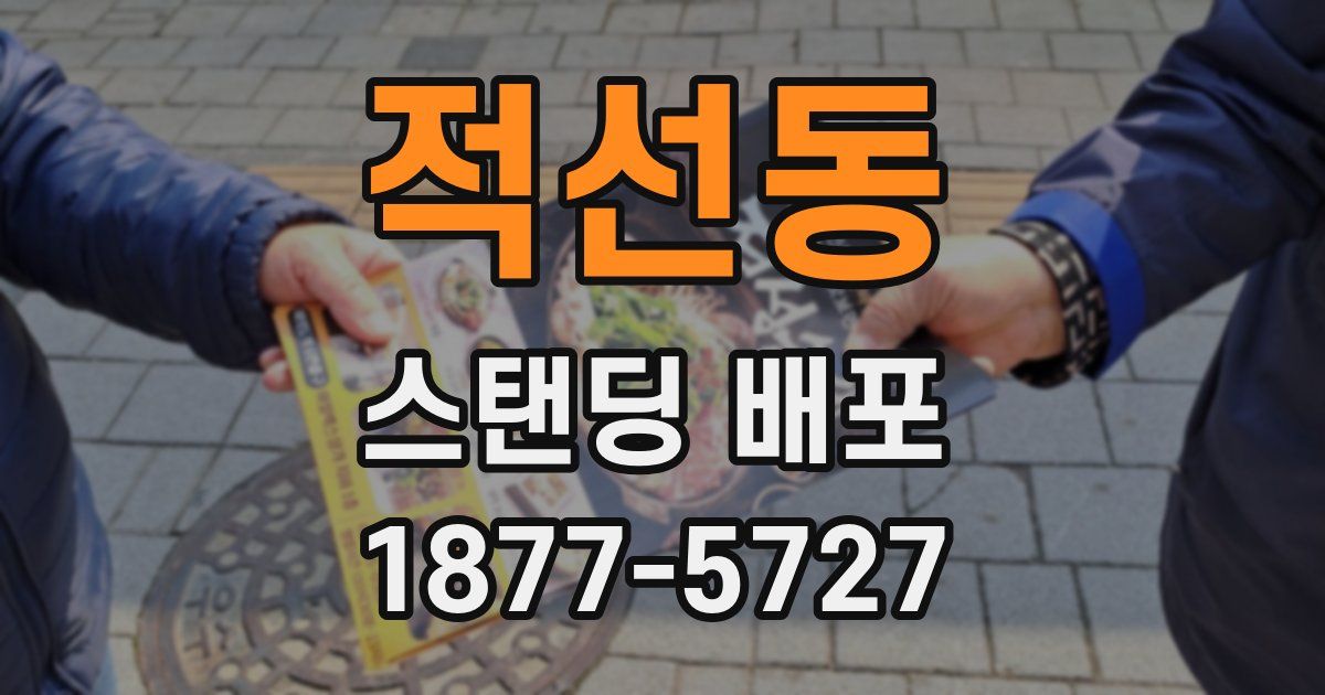 적선동 스탠딩 배포