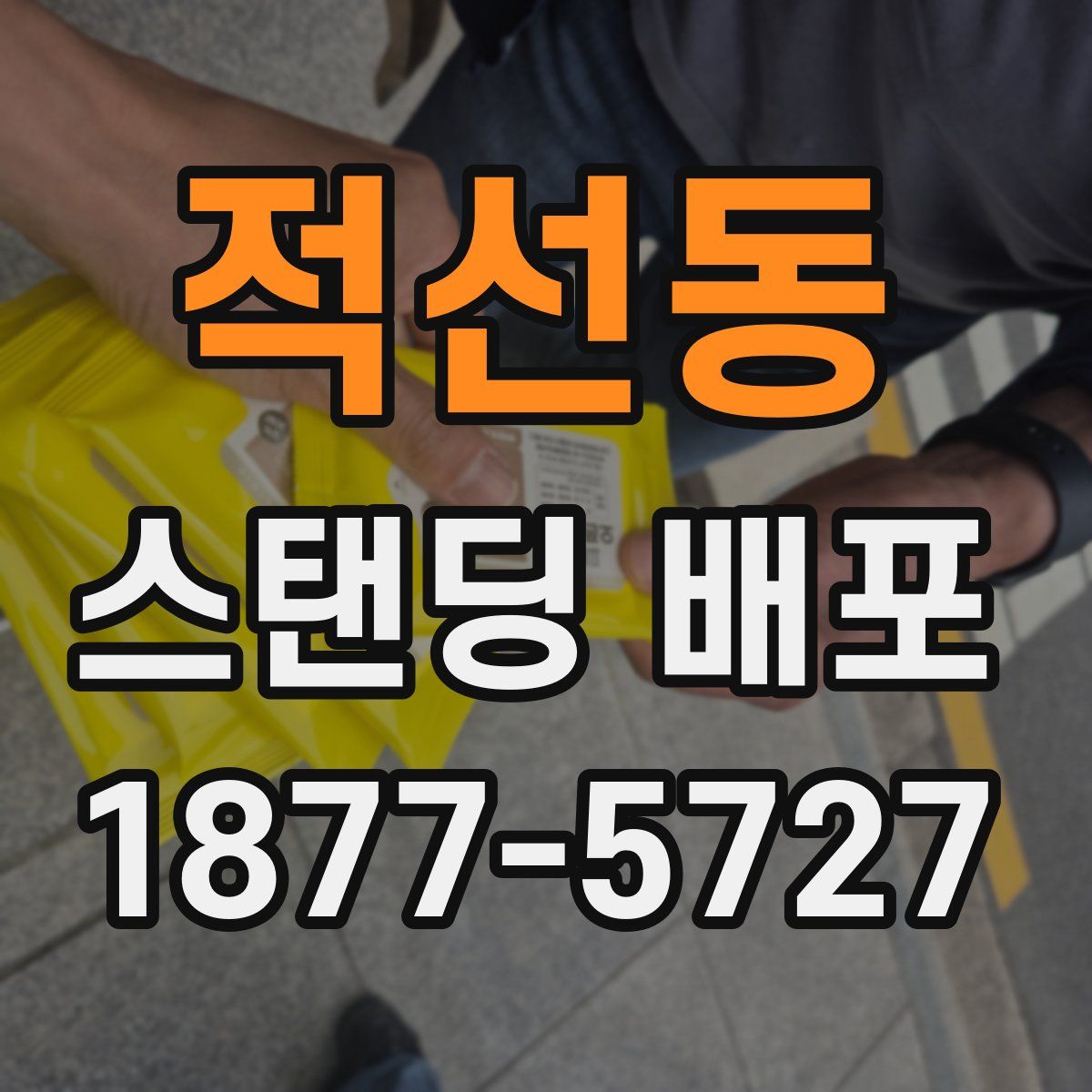 적선동 스탠딩 배포