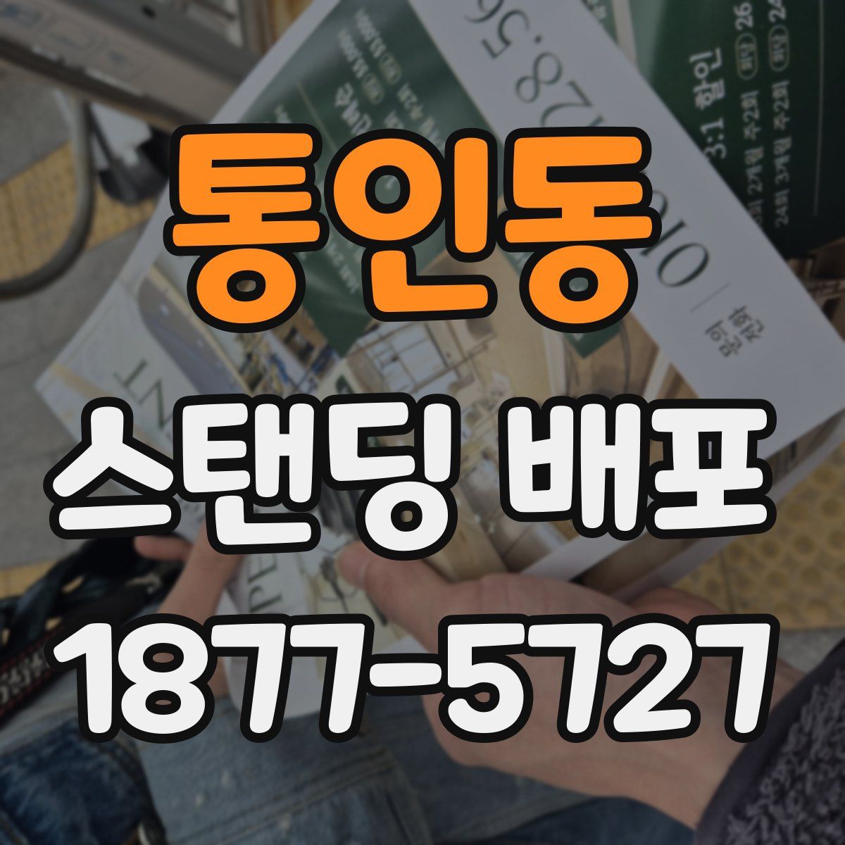통인동 스탠딩 배포