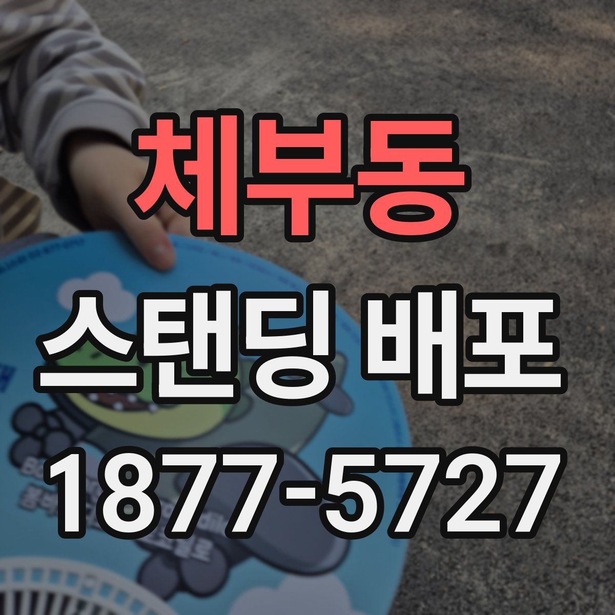 체부동 스탠딩 배포