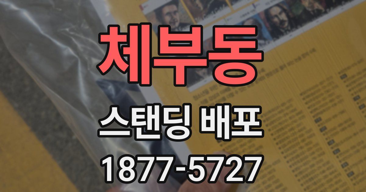 체부동 스탠딩 배포
