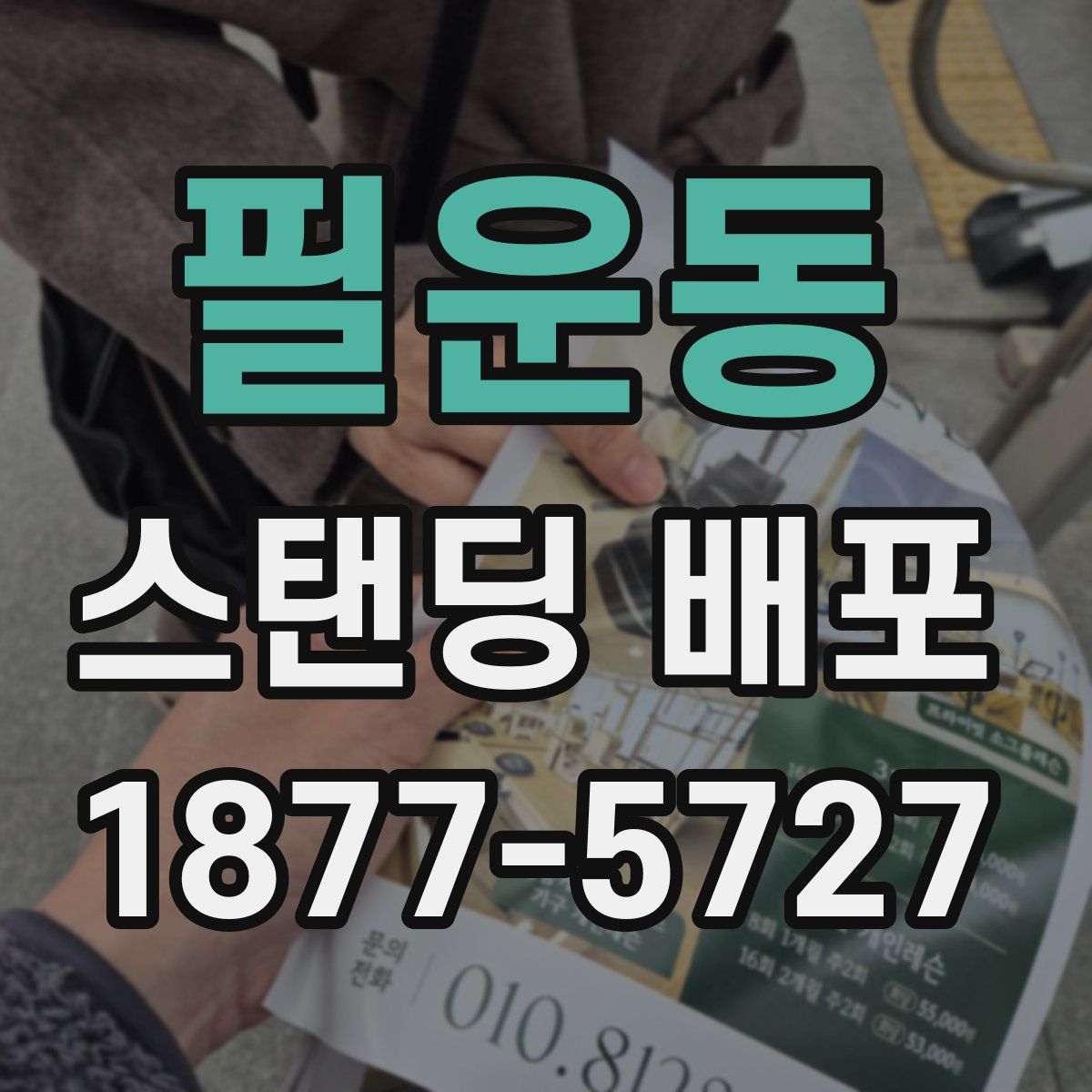 필운동 스탠딩 배포