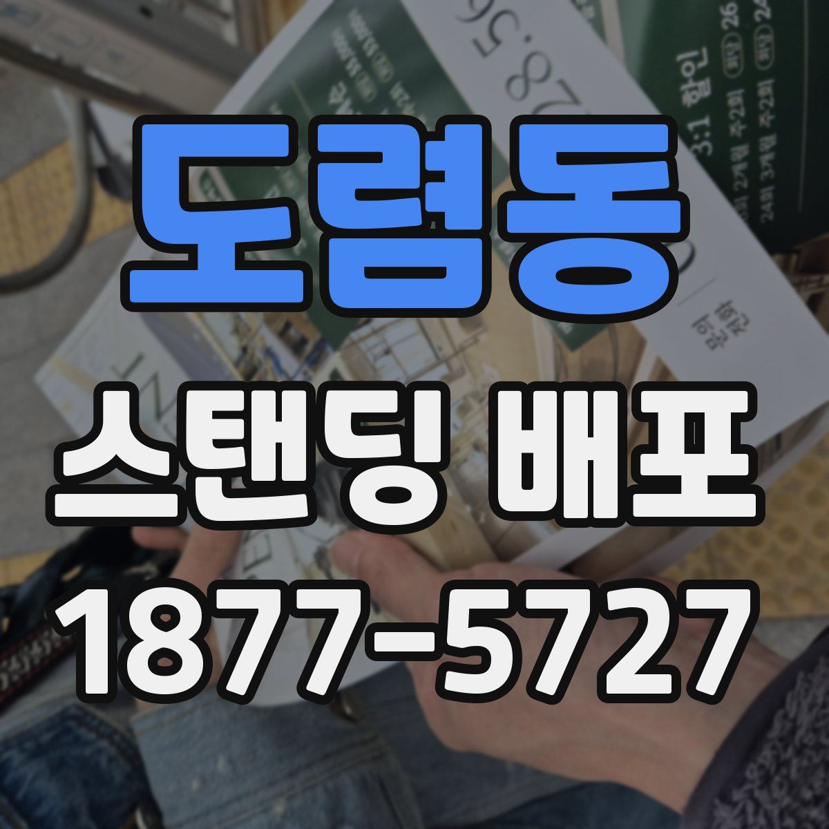 도렴동 스탠딩 배포