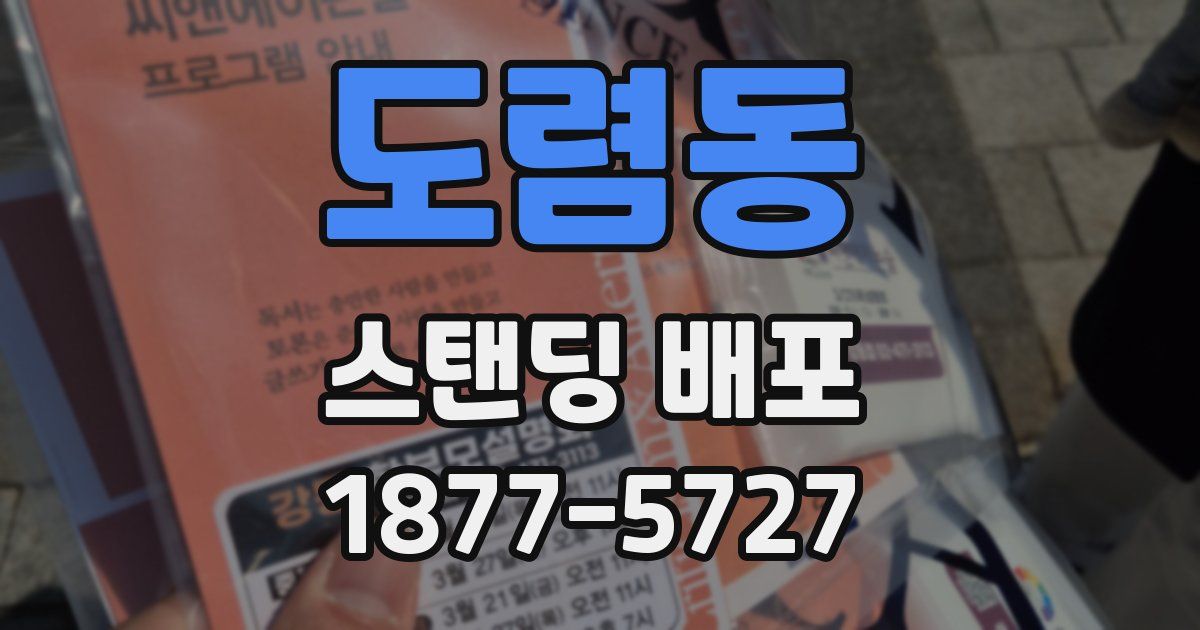 도렴동 스탠딩 배포