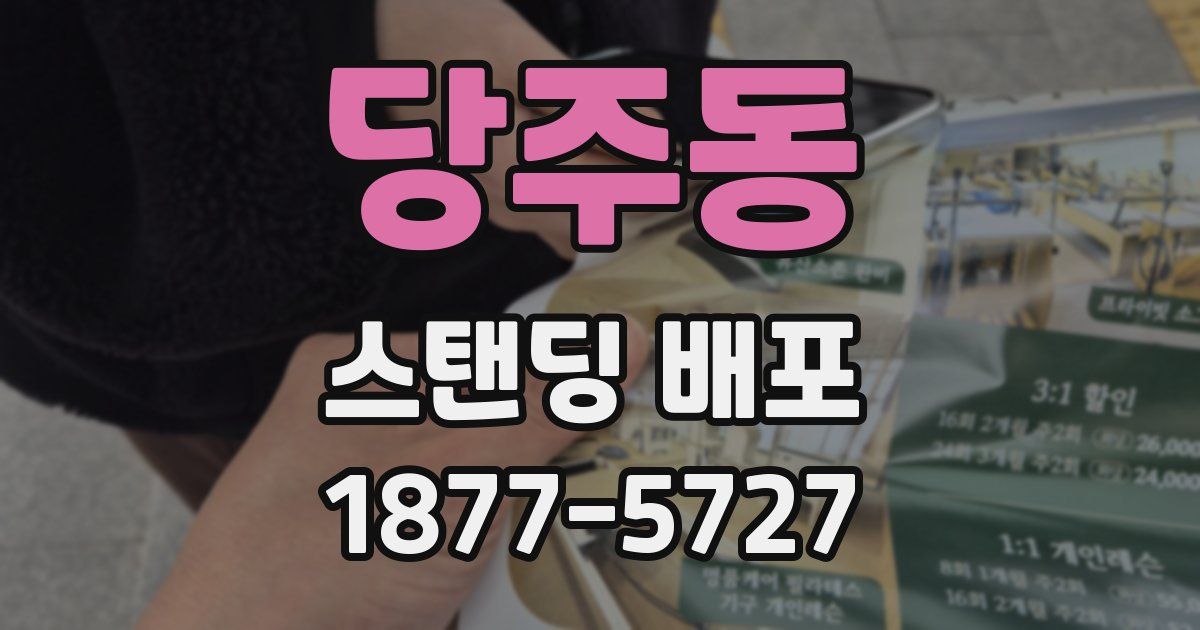 당주동 스탠딩 배포