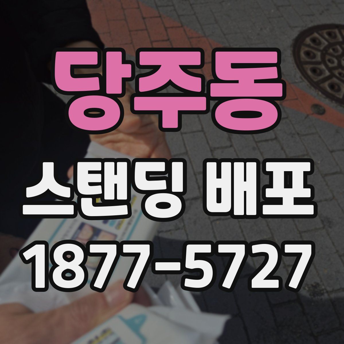 당주동 스탠딩 배포