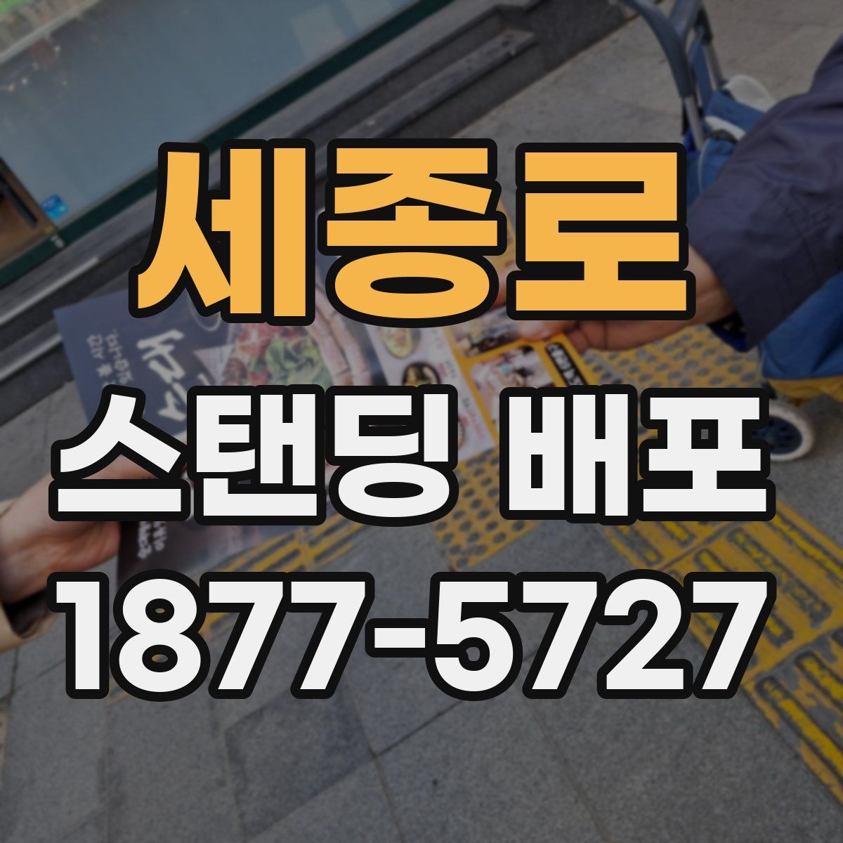 세종로 스탠딩 배포